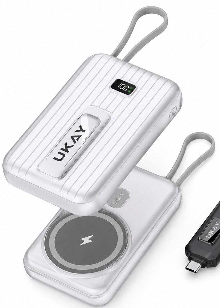 Dual Volt Charger