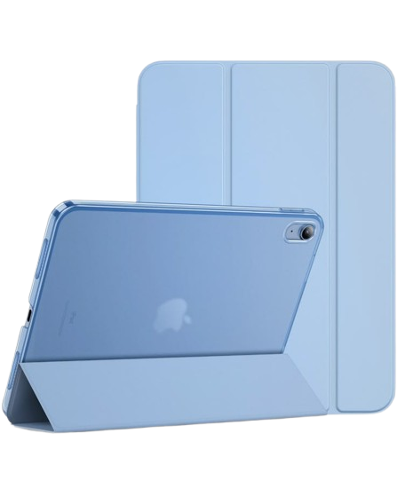 Apple iPad Case