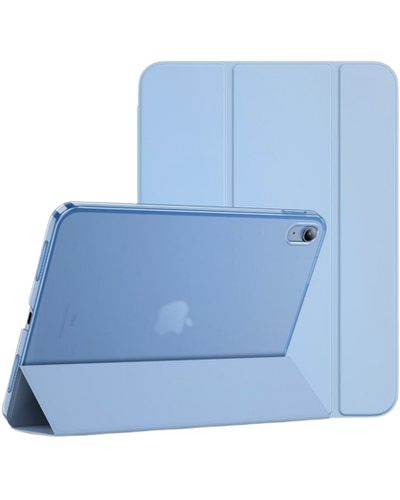 Apple iPad Case