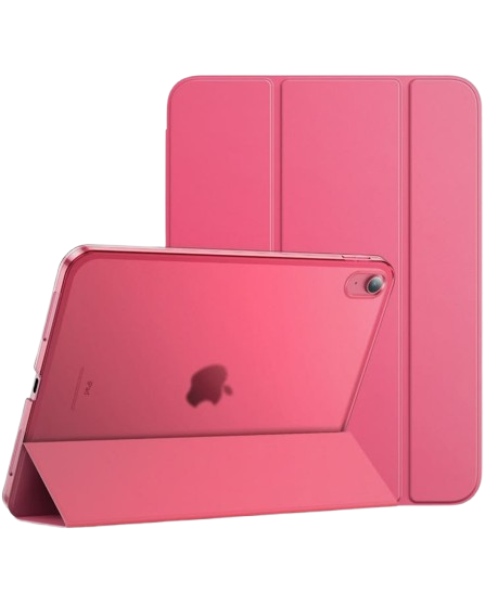 Apple iPad Case